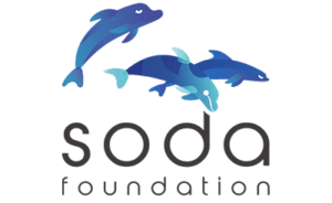 SODA Foundation