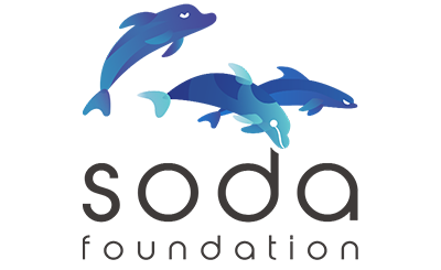 SODA Foundation
